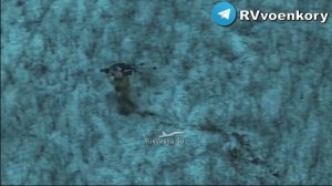 Затрофеили украинский тяжелый БПЛА «Вампир»