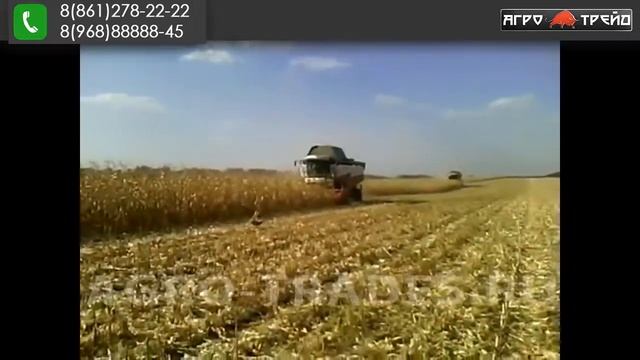 Торум с кукурузной жаткой CAPELLO против CLAAS c кукурузной жаткой ZIEGLER
