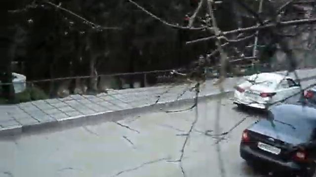 Слива зимняя смотреть онлайн