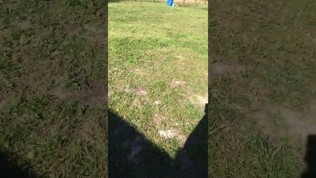 Звук работающего инверторного генератора на 2 кВт Elitech смотреть онлайн