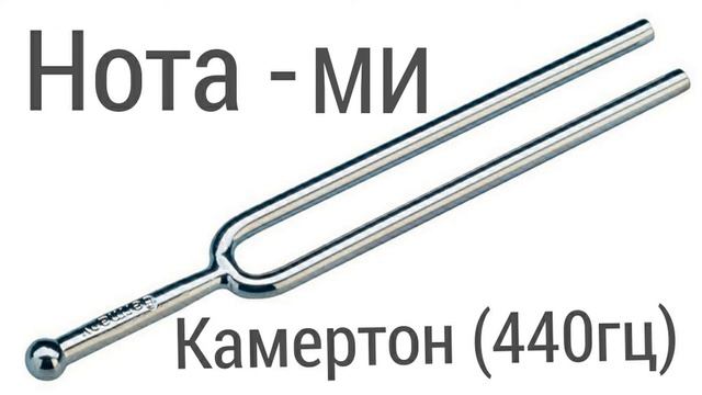 Камертон нота ми. Камертон вилочный 440гц, meinl. Источник звука камертон. Камертон ноты. 7 нота си.