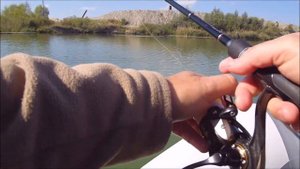 Андреевское 2022