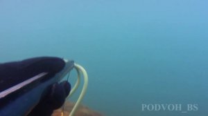 ХОД ПЕЛЕНГАСА!!!