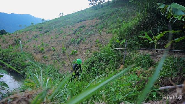 The bad guy came back and broke my bamboo fence, fighting alone смотреть онлайн