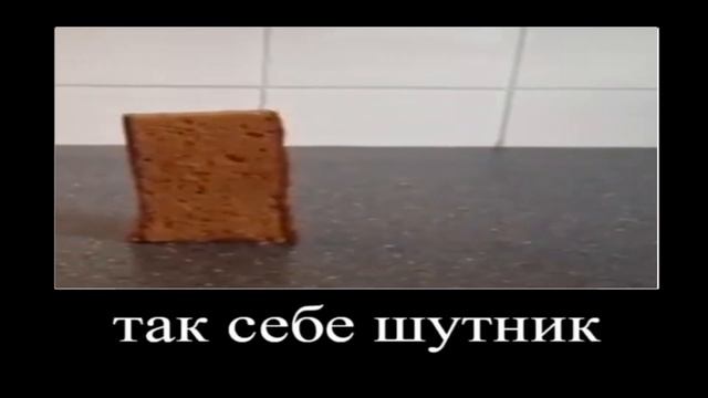 В главных ролях, но это мемы би лайк: смотреть онлайн