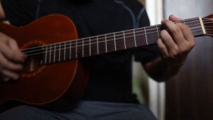 Fernandes Grand Concert No.10 Demo / Sound Test