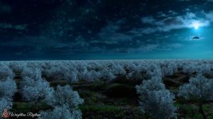 Релакс на ночь для сна, успокаивающая нервную систему, музыка для сна