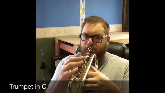 The Trumpet Family смотреть онлайн