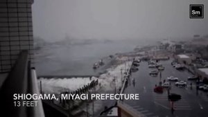 Первичное вещество Землетрясение и цунами в Тохоку Япония 2011