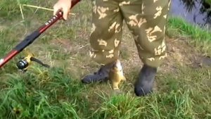 Рыбалка в Мордовии полная версия