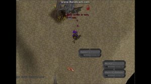 Ultima Online The Second Age PvP Gork Vs Skrap