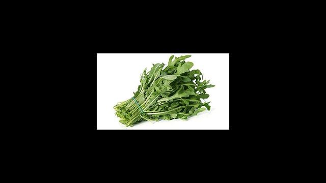Как вырастить руколу на подоконнике?