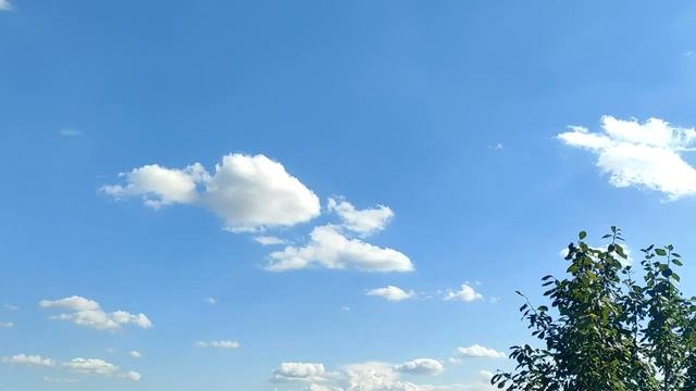 Почему нельзя пользоваться чужой расческой? смотреть онлайн