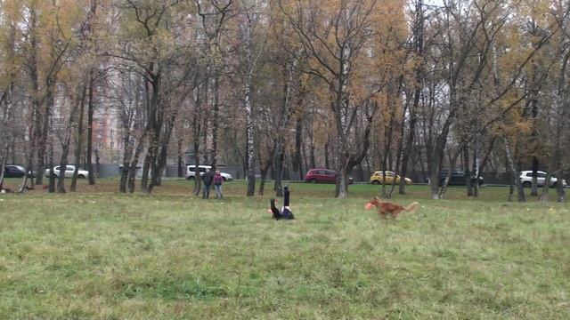Ф.Фристайл Алия и Ирвин.mp4