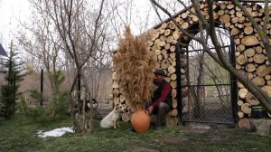 Рисовый плов по-деревенски Азербайджанская Кухня Деревенская Кухня  Рецепты