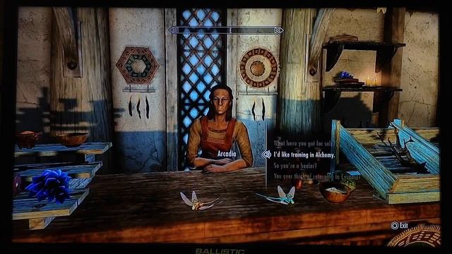 The Elder Scrolls SKYRIM - Dragon Rising #37 смотреть онлайн