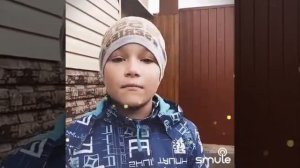 Фиксипелки. Пылесос.