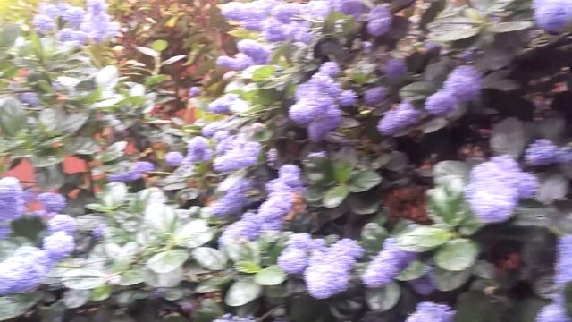 Моя подруга-испанка не знает смотреть онлайн