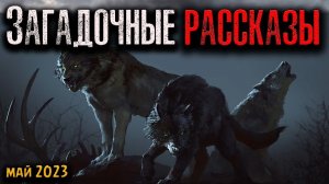 ЗАГАДОЧНЫЕ РАССКАЗЫ | Страшные истории