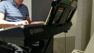 Одинокая ветка сирени на синтезаторе