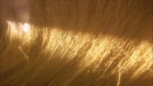 мысль с целью смотреть онлайн