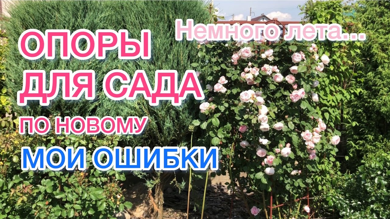 Опоры для роз и клематисов / Мои ошибки / Чем проще, тем лучше