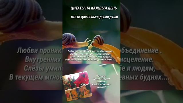 ГДЕ ИСКАТЬ ИСТОЧНИК ВОЛШЕБСТВА