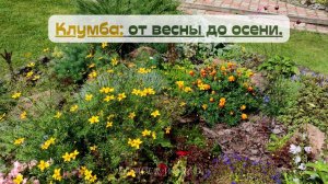 Клумба: от весны до осени.💐