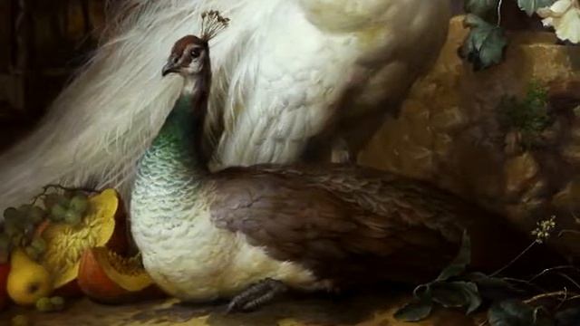 Павлины в парке. Презент. смотреть онлайн