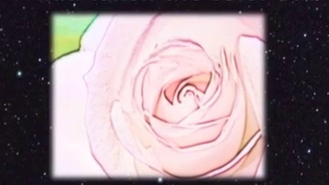 EGR 201 Sonnet 99 Ed.II смотреть онлайн