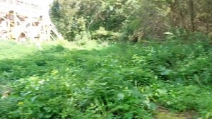 Бабушка Настя с днем рождения!