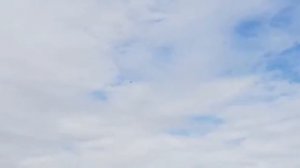 The Galloping Ghost Carf p51 mustang reno Kolm il 230