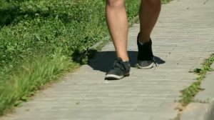 Автополив. Вся правда за 14 минут