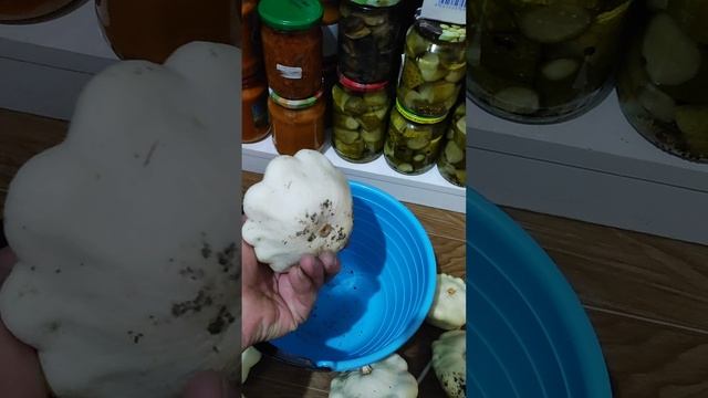 Патиссоны.