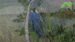 Национальный парк "Лосиный остров". Лосиная биостанция