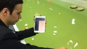 Как эхолот deeper показывает рыбу? - Тест в бассейне.