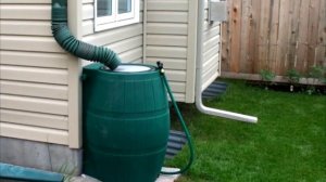 Чем полезна дождевая вода и как ее правильно собирать