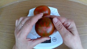 Irish Stripes. Томат, Ирландский полосатый