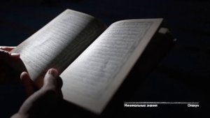 Урок 9. Минимальные знания- Обязанности опекуна