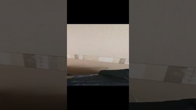 жилет
