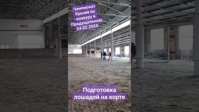 Чемпионат Крыма по конкуру в Предущельном 24.02.2024 #horse #конкур #sports #конныйспорт