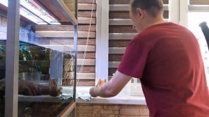 Избавляемся от Черной бороды, вьетнамки лимонкой