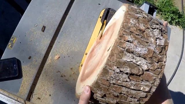 RUSTIC WOOD DECORATIONS! Make Large Level Wood Slices [14 Large Tree Trunk Round Discs]