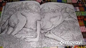 Хобби-ОБЗОР: хрупкий мир/ Керби Розанеc/раскраска