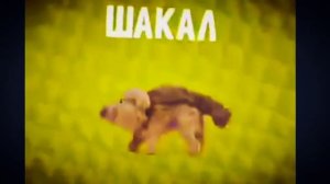 Шакальный шакал