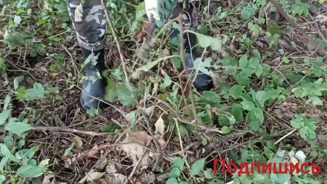 МЕТАЛОКОП! ХОРОШИЕ НАХОДКИ ПОПАЛИСЬ ВДОЛЬ ЛУГОВ! смотреть онлайн