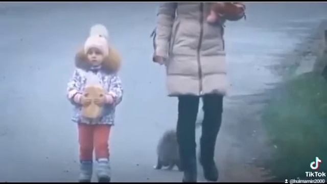 Сальто от кота смотреть онлайн