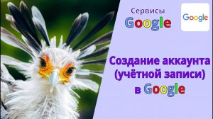 Создание учётной записи (аккаунта) в Google. Как получить аккаунт в Гугле.