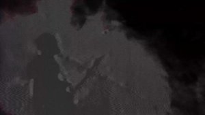HEALTH x POPPY :: DEAD FLOWERS