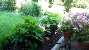 Дача на Урале!Дыни на Урале!